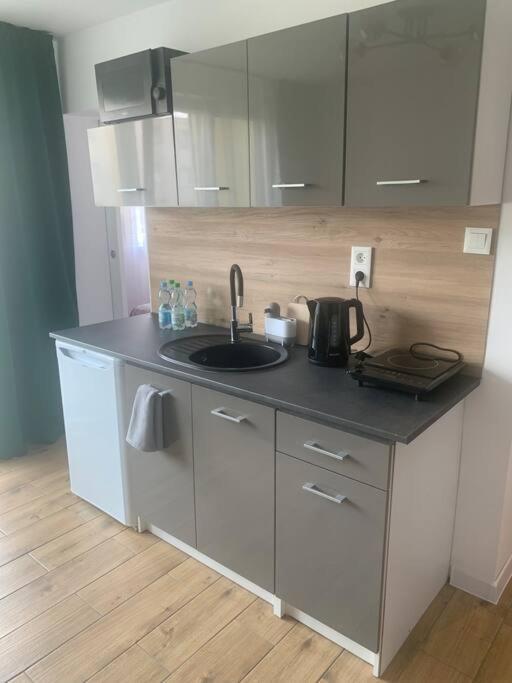 Uroczy Apartament W Centrum Sandomierza Buitenkant foto